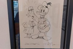 55-OspDonRosa-2